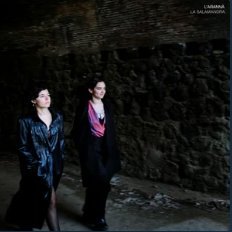 L'Aranna — La Salamandra